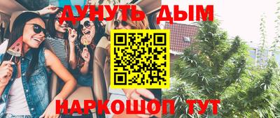 PSILOCYBIN Кингисепп