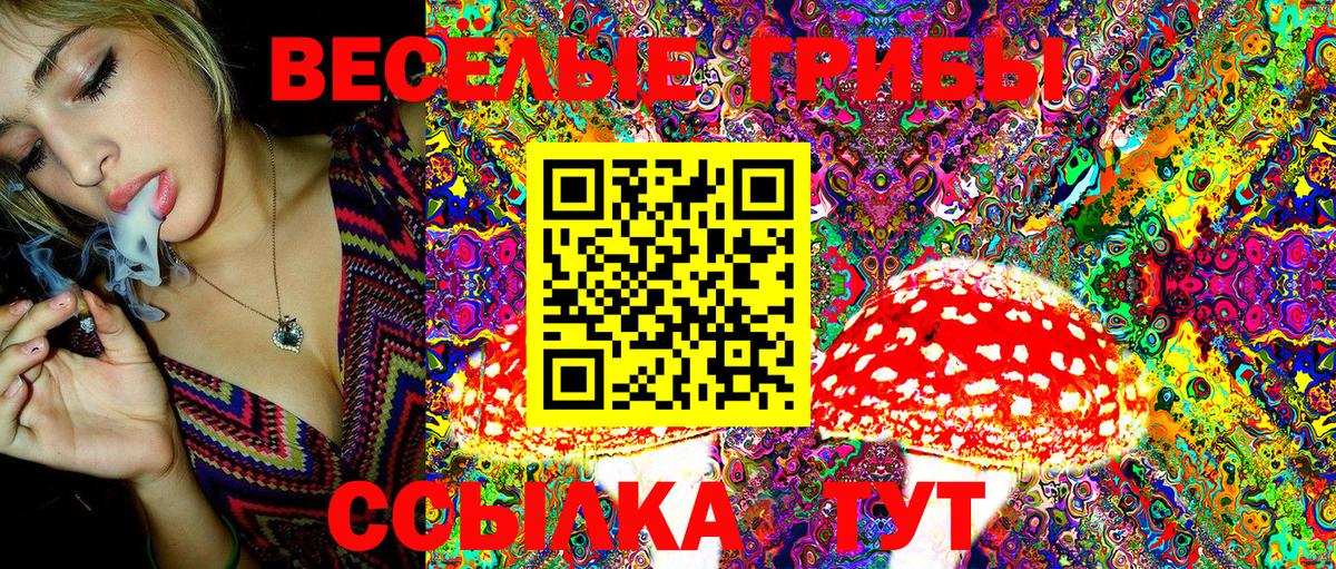Псилоцибиновые грибы Psilocybine cubensis Клин