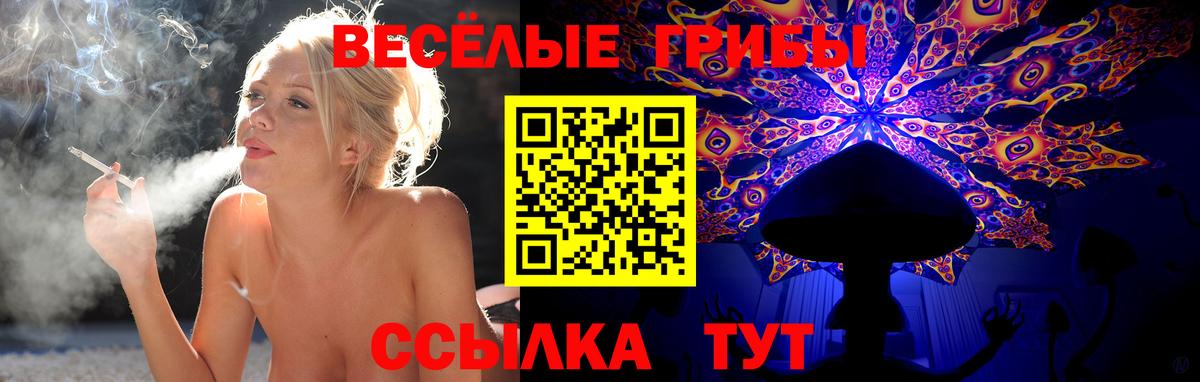 Галлюциногенные грибы Magic Shrooms  Вход с VPN  Клин  Псилоцибиновые грибы ЛСД 